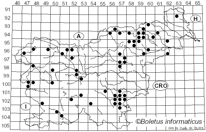 <i>Hydnellum concrescens</i> (Pers.) Banker (1906)