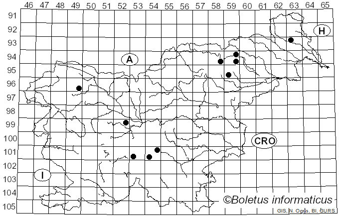 <i>Lyophyllum semitale</i> (Fr.) Kühner (1938)