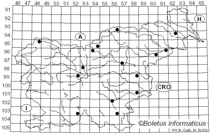 <i>Apiognomonia errabunda</i> (Roberge ex Desm.) Höhn. (1918)