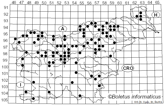 <i>Boletinus</i> Kalchbr. (1867)