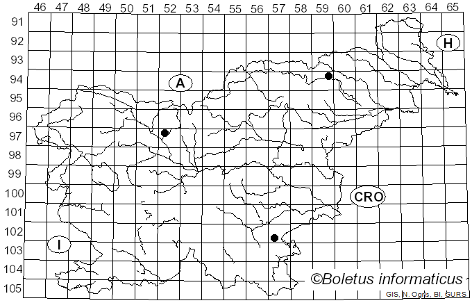 <i>Calonarius pseudoglaucopus</i> (Jul. Schäff. ex M.M. Moser) Niskanen & Liimat. (2022)