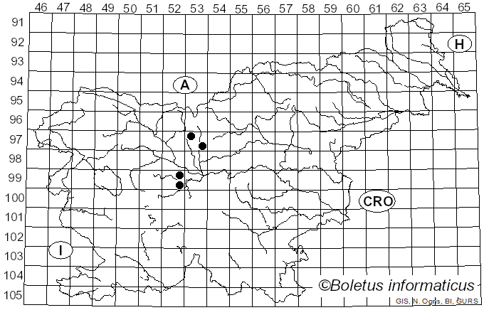 <i>Mycosphaerella berberidis</i> (Auersw.) Lindau (1897)