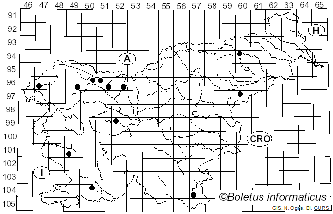 <i>Dasyscyphella</i> Tranzschel (1898)