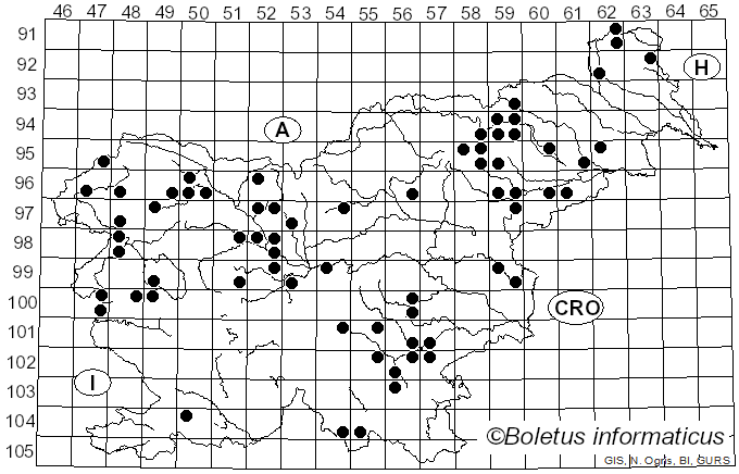 <i>Bisporella</i> Sacc. (1884)