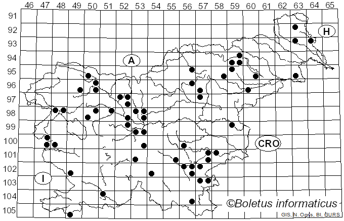 <i>Asterophora lycoperdoides</i> Ditmar (1809)