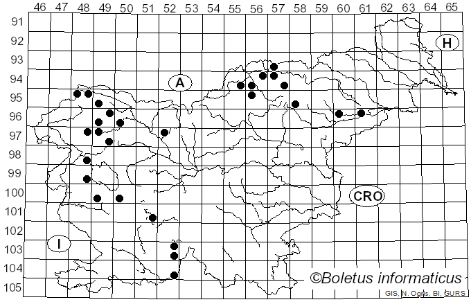<i>Amandinea punctata</i> (Hoffm.) Coppins & Scheid. (1993)