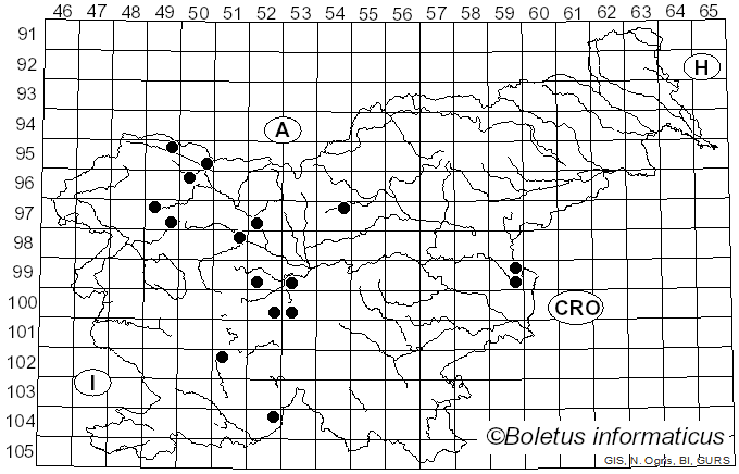 <i>Cheilosia impressa</i> Loew