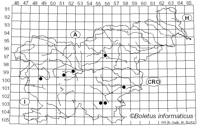 <i>Hyphoderma setigerum</i> (Fr.) Donk (1957)
