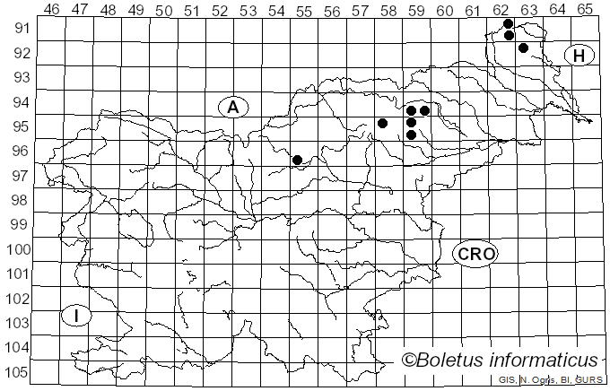 <i>Russula cessans</i> A. Pearson (1950)
