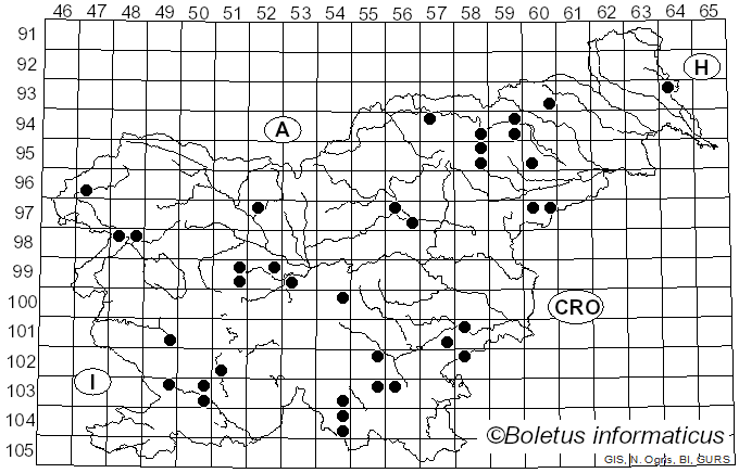 <i>Skeletocutis nivea</i> (Jungh.) Jean Keller (1979)