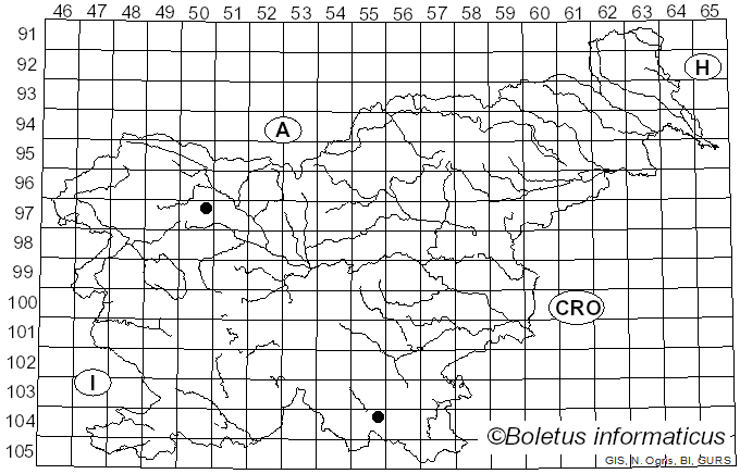 <i>Sagaranella tylicolor</i> (Fr.) V. Hofst., Clémençon, Moncalvo & Redhead (2015)