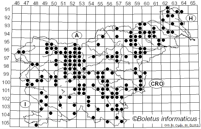 <i>Lycogala epidendrum</i> (J.C. Buxb. ex L.) Fr. (1829)