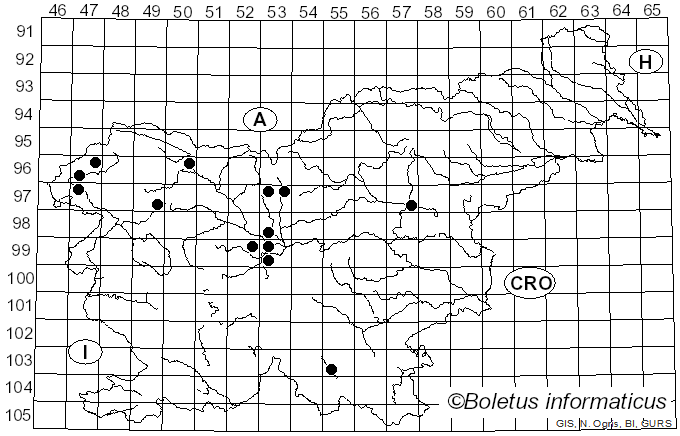 <i>Uromyces dactylidis</i> G.H. Otth (1861)