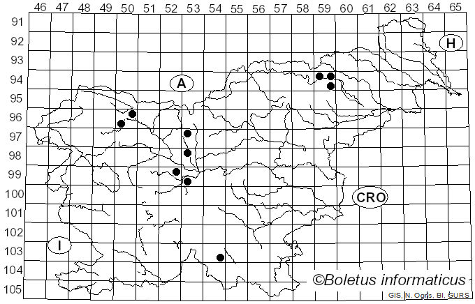 <i>Hypoderma</i> De Not. (1847)