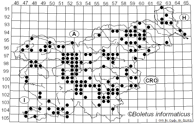 <i>Peziza</i> Dill. ex Fr. (1822)