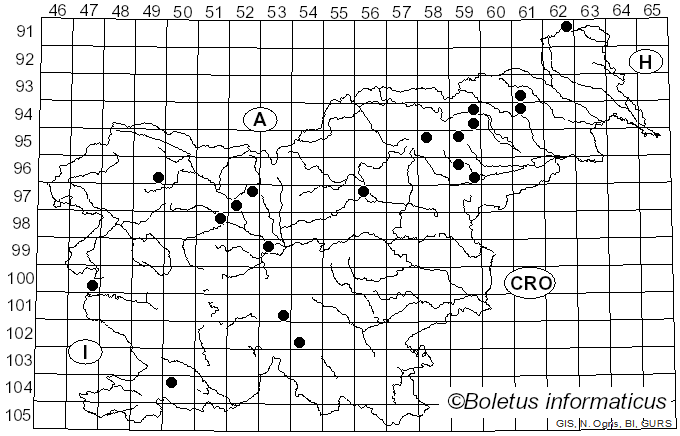 <i>Reticularia lycoperdon</i> Bull. (1791)