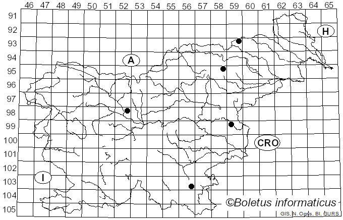 <i>Inocybe brunneotomentosa</i> Huijsman (1978)