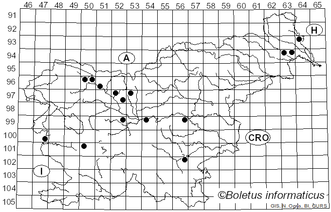 <i>Colpoma quercinum</i> (Pers.) Wallr. (1823)