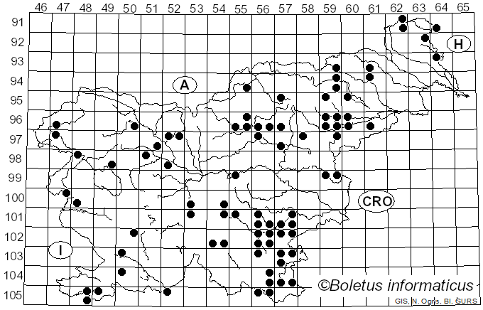 <i>Leccinellum</i> Bresinsky & Manfr. Binder (2003)