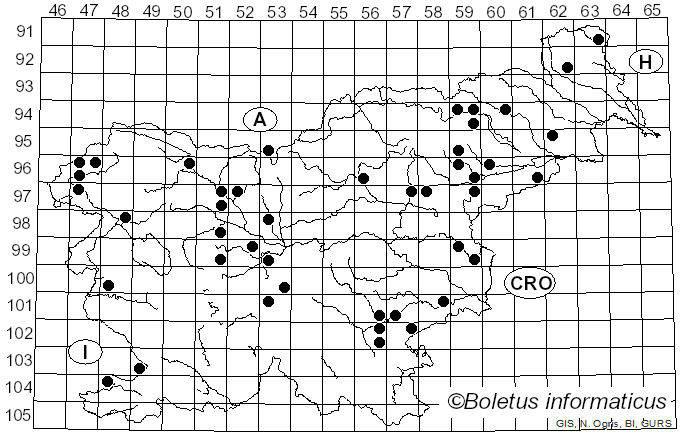 <i>Clitocybe metachroa</i> (Fr.) P. Kumm. (1871)