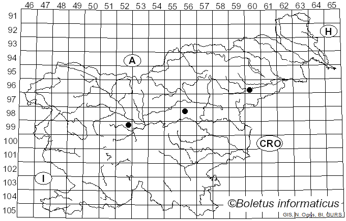 <i>Lignomyces vetlinianus</i> (Domański) R.H. Petersen & Zmitr. (2015)
