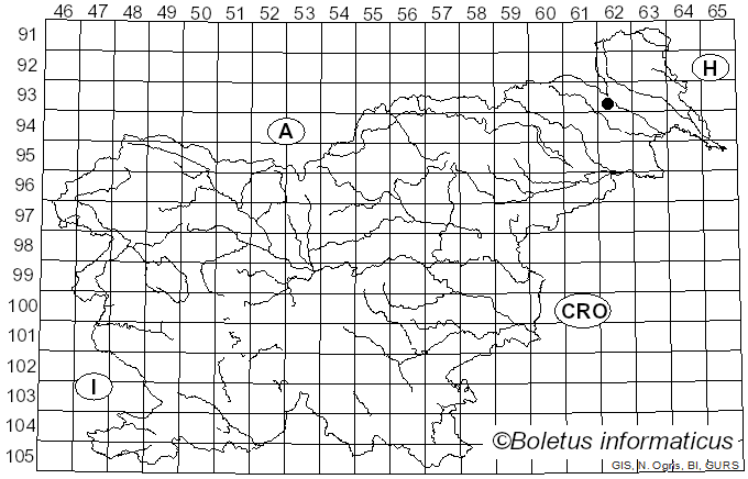 <i>Calostoma ravenelii</i> (Berk.) Massee