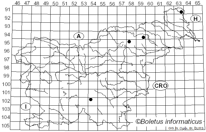 <i>Inocybe subcarpta</i> Kühner & Boursier (1932)