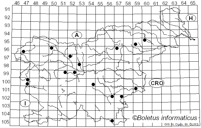 <i>Entoloma vernum</i> S. Lundell (1937)