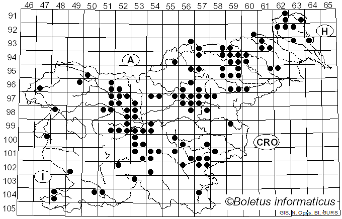 <i>Gomphidius roseus</i> Fr.