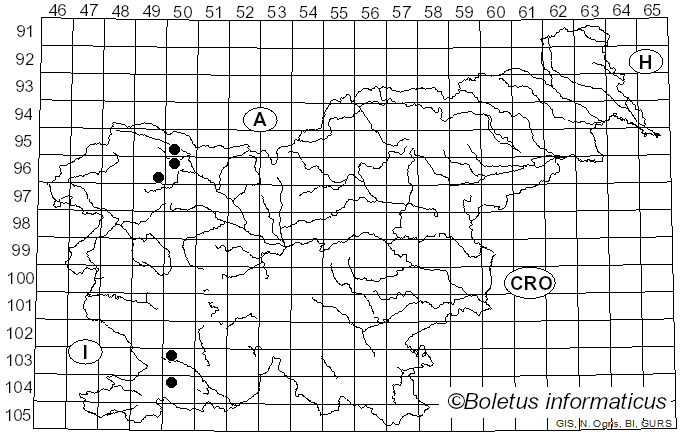 <i>Ascocoryne solitaria</i> (Rehm) Dennis (1971)