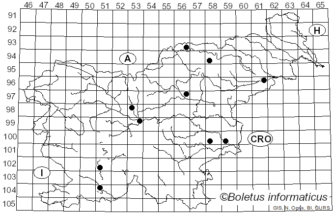 <i>Kabatina</i> R. Schneid. & Arx (1966)