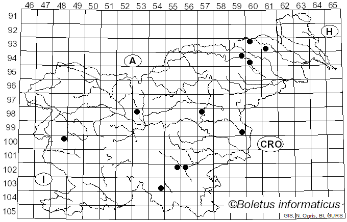 <i>Hydropus marginellus</i> (Pers.) Singer (1948)