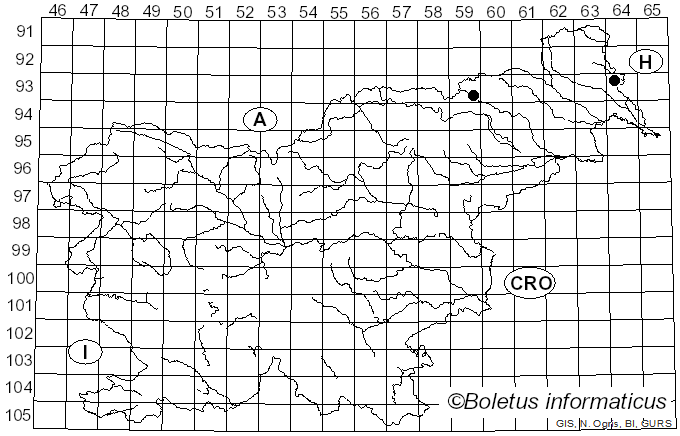 <i>Psathyrella laevissima</i> (Romagn.) Singer (1969)