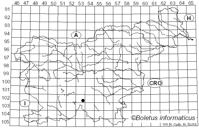 <i>Ascocoryne albida</i> (Berk.) Seifert (2014)