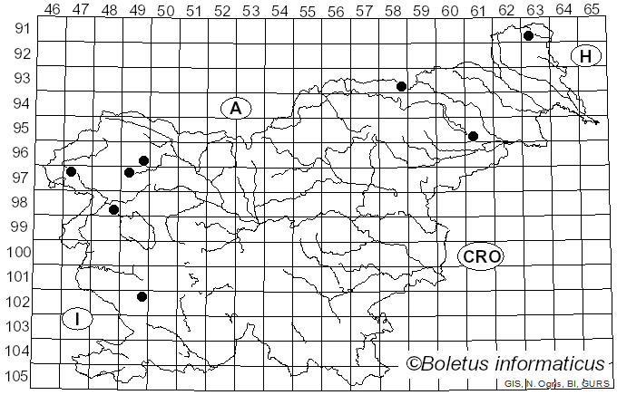 <i>Hygrocybe reidii</i> Kühner (1976)