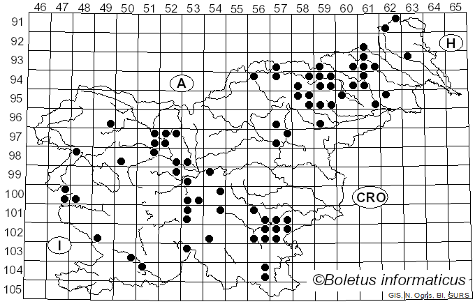 <i>Thaxterogaster vibratilis</i> (Fr.) Niskanen & Liimat. (2022)