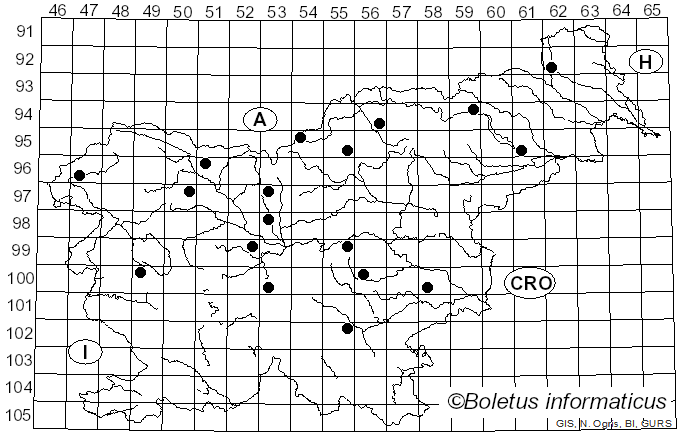<i>Cribraria</i> Pers. (1794)