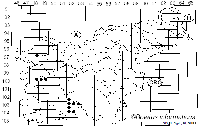 <i>Phlyctis agelaea</i> (Ach.) Flot. (1850)