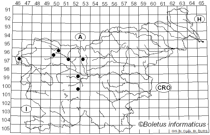 <i>Isaria</i> Pers. (1794)