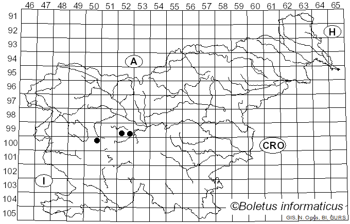 <i>Temnostoma bombylans</i> Fabricius