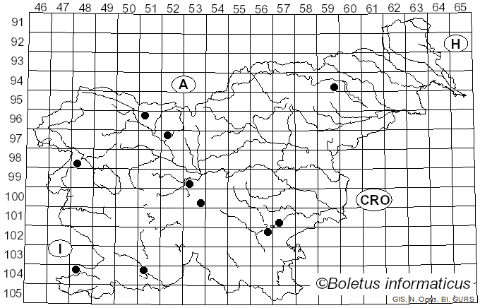 <i>Hypsizygus tessulatus</i> (Bull.) Singer (1947)
