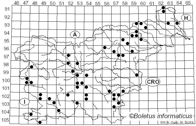 <i>Aureoboletus gentilis</i> (Quél.) Pouzar (1957)