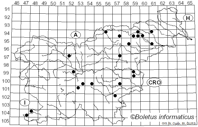 <i>Cortinarius decipiens</i> (Pers.) Fr. (1838)