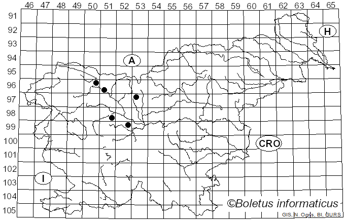 <i>Mycosphaerella pyri</i> (Auersw.) Boerema (1970)