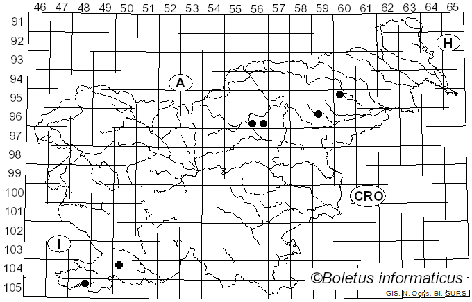<i>Psathyrella senex</i> (Peck) A.H. Sm. (1972)