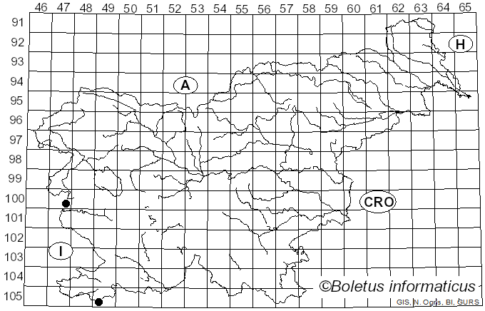 <i>Psathyrella pygmaea</i> (Bull.) Singer (1951)