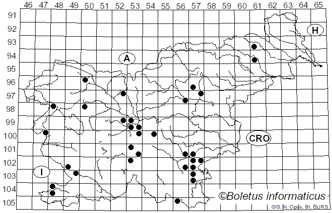 <i>Tricholoma sulphurescens</i> Bres. (1905)