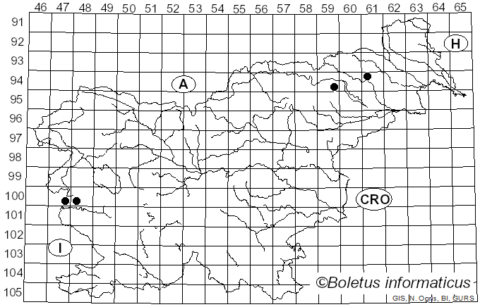 <i>Lepiota xanthophylla</i> P.D. Orton (1960)