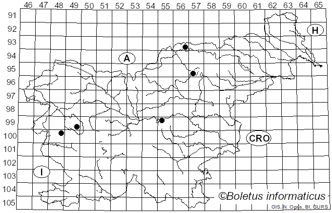 <i>Coleophora laricella</i> (Hübner, 1817)