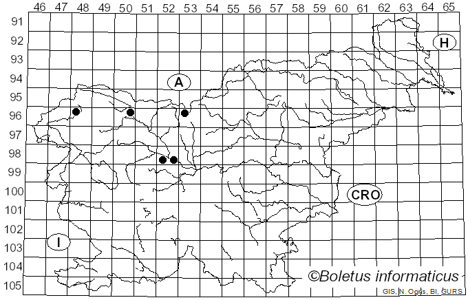 <i>Anthracoidea pratensis</i> (Syd.) Boidol & Poelt (1963)